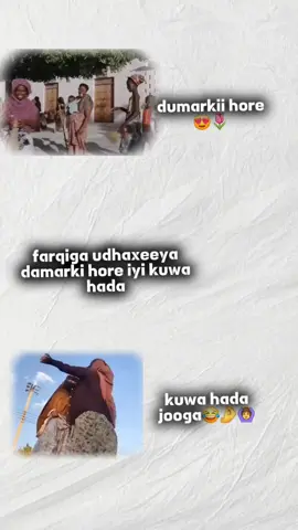 so shita😂🤌#somalitok #wb💙🐎💚 #dhulahvahhte #wb💙🐎💚 #dhulahvahhte 