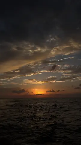 Cũng do anh quá yêu em..