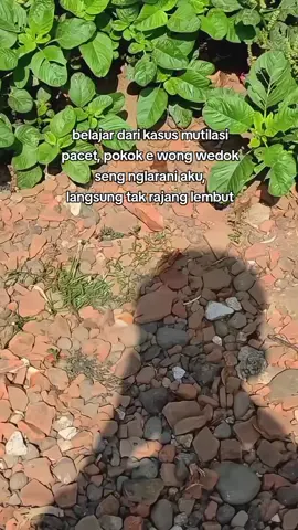 gawe Perkedel😌 #fyp #masukberanda #trending 