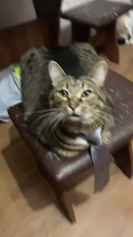 Еще Vazюни