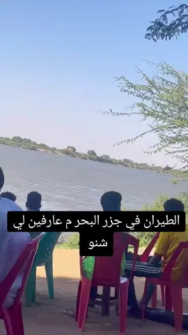 #مشاهير_تيك_توك_مشاهير_العرب🌺💜 #جخو،الشغل،دا،يا،عالم،➕_❤_📝✌️🌍🦋 