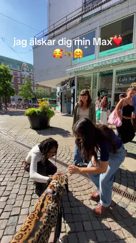 🐆🤗🐆🥰Jag önskar alla som ser mina videos skulle följa mig stor tack 🙏 🐆🤗