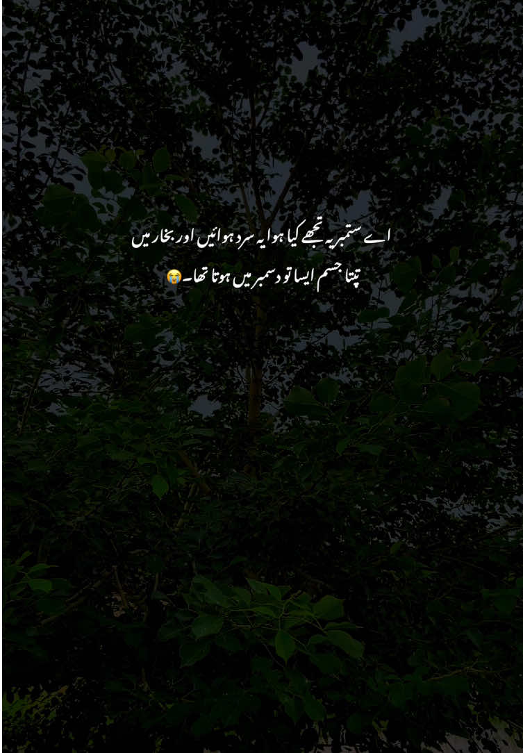 💔😭#fyp #grow #poetry #viralvideos #aestheticvideos 