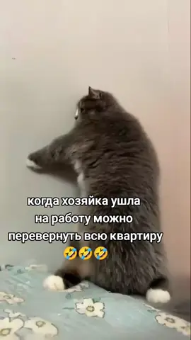 #рекомендации #😂😂😂😂😂😂😂😂😂😂😂😂😂😂😂 