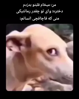 آره دیگ 🤣