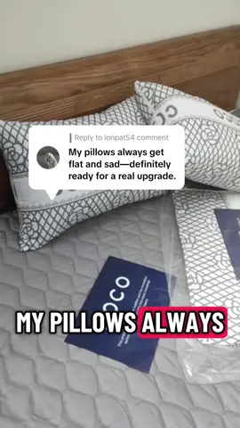Gối COCO? #pillows 