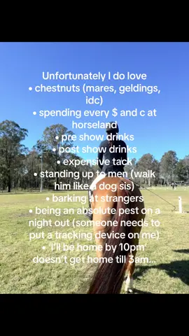 Honestly, the real pest is me after 2 drinks 🙃 still scoring over 60% on my dressage tests tho, who’s the real winner here 😂🫠 #fyp #equestrian #horseriding #dressage #offthetrackqueensland