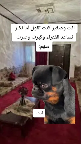 #MemeCut #Meme #cap #🤣🤣🤣🤣🤣🤣🤣🤣🤣🤣🤣🤣🤣🤣🤣🤣 #الشعب_الصيني_ماله_حل😂😂 