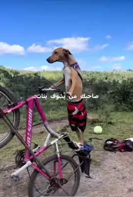 صاحبك الفكر من يشوف بنات😅🤣