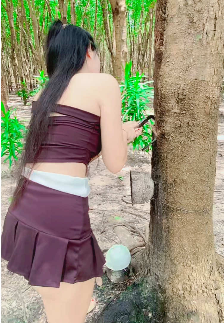 #มือใหม่หัดกรีดยาง🤭🤭 #ชาวสวน #นครพนม 