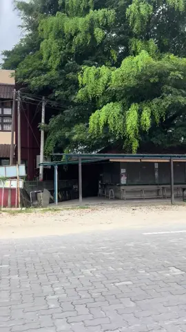 Kenapa Min tengok kedai tepi jalan dekat Wakaf Che Yeh ni ada kena roboh ? Video : Kelantan Post