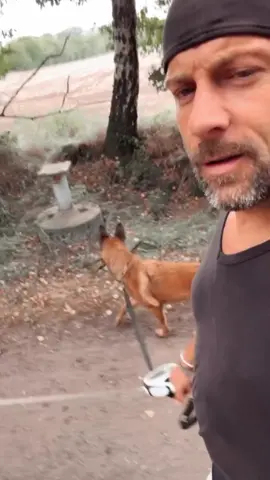 #tiktok #dog #goviral #hamburg 