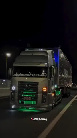 viva seu sonho #amocaminhao #caminhaoqualificado #crescernotiktok2025 #amocaminhao🚛 