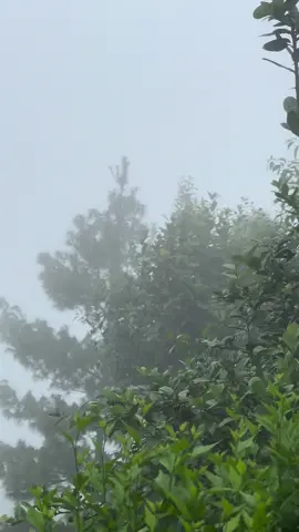 #fyp #nepal #monsoon 