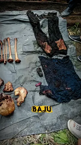 KERANGKA MANUSIA DITEMUKAN DI DALAM POHON AREN!! 😱