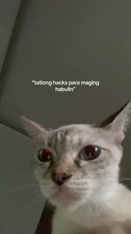 HAHAHAHAHAHA ASH!! LAHAT GAGAWIN PARA SA JOLLIBEE #fyp #cat #trending #foryoupage #funny 