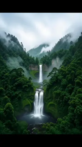 Today's moment, perhaps it's imaginary  #nature #fyp #naturewallpaper #wallpaper 