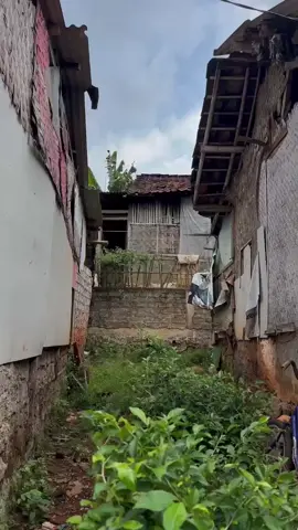 Yang sebagian orang tau bahwa MBG adalah program yang buang” duit, tapi bagi kami dan sebagian orang lainnya MBG adalah program yang sangat” bermanfaat bagi masyarakat khususnya masyarakat yg tidak mampu. Hari ini kami dari SPPG Mandalawangi Utama melakukan pengalihan porsi anak sekolah yang libur ke masyarakat sekitar yg tidak mampu, termasuk balita dan lansia… bahkan ada salah satu masyarakat yang menawarkan diri untuk membantu memilah milah sisa makanan untuk dibawa pulang agar diolah lagi🥹 Terimakasih Bapak Presiden atas progam yang sangat mulia ini, berkat bapak masyarakat yang tidak mampu bisa merasakan makanan yg sehat dan bergizi 🙏🏻🙏🏻🙏🏻🙏🏻 #BGN #mbg 
