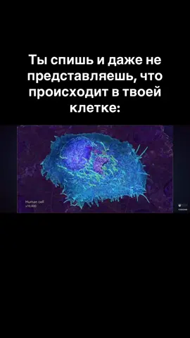 тг: chembioexams бесплатные материалы для подготовки #егэ #егэбиология #егэхимия #biology #chemistry