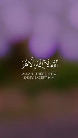 QURAN #CapCut #fyp #treanding #islamic_video #quran 