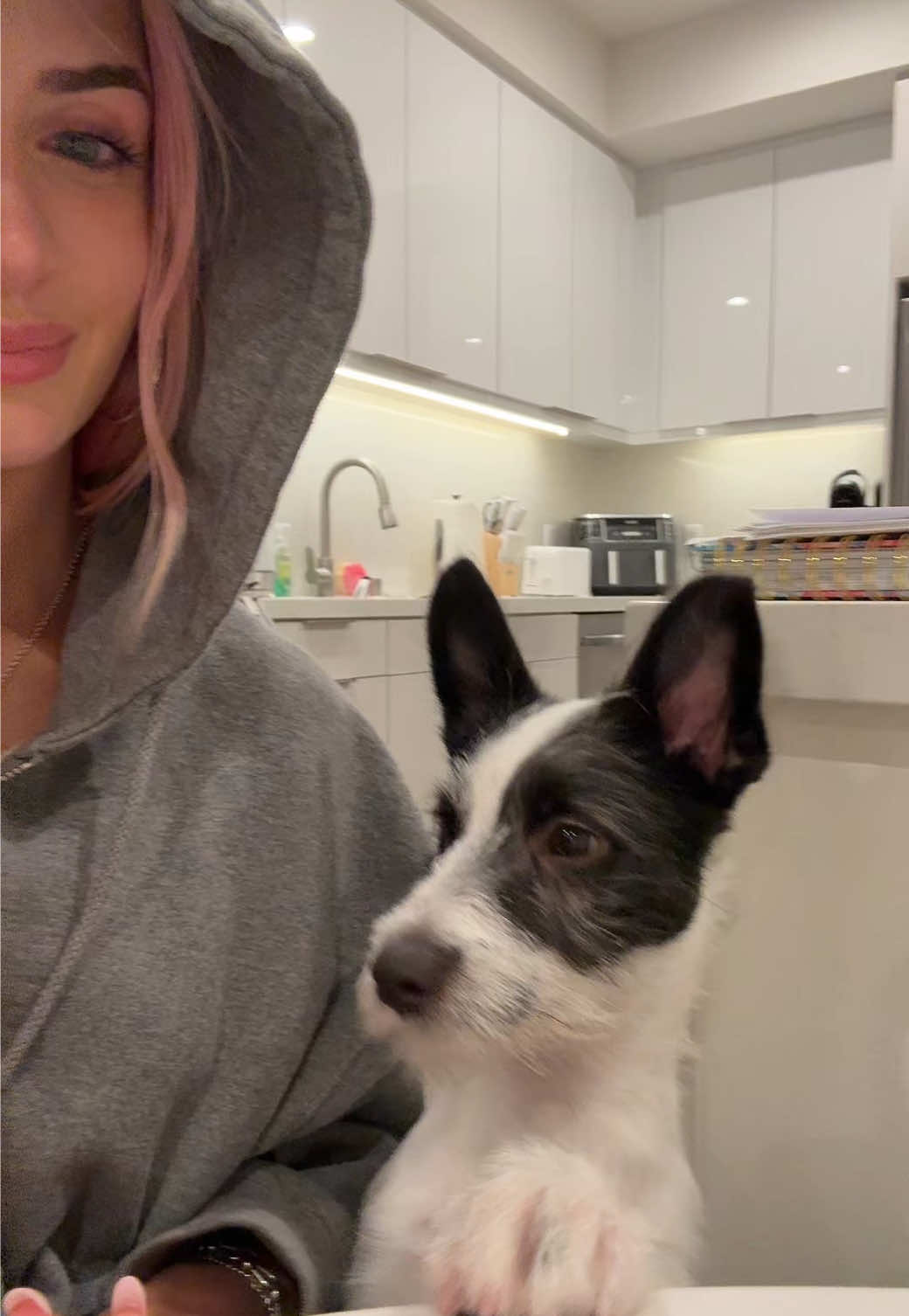 he camera shy 