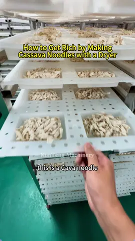 How to use dryer to dry cassava noodles to get rich#drying #dryingroom #dryingmachine #fyp #noodles 