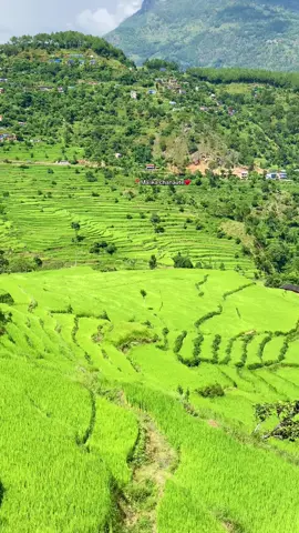 📍baglung malika chanaute#foryou #beautiful #village #viral #nature @🧿गुडिया💜रानी🔱🕉️ 