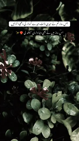 اس بار بازار اور کنواں میرے حصے آیا #fypppppppppppppppppppppppppp#unfreezeaccount 