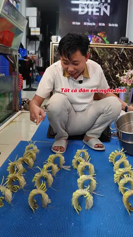 Quá nhiều đàn em #haisan 