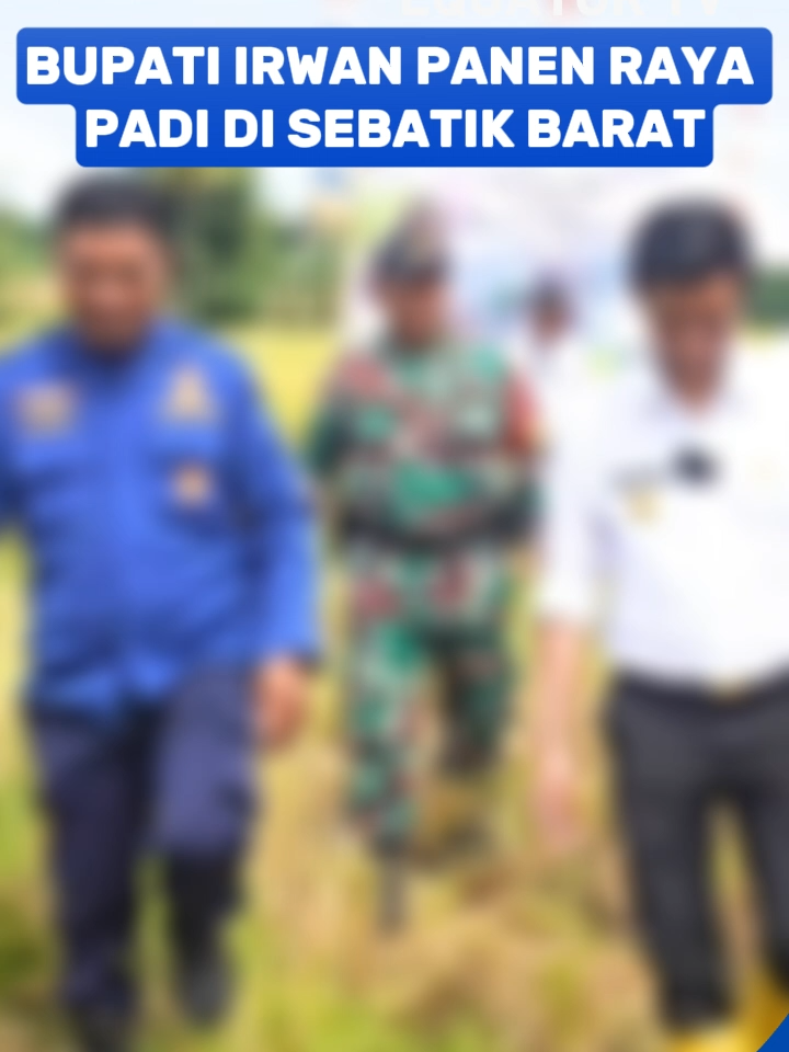 Bupati Nunukan H. Irwan Sabri melaksanakan panen raya padi bersama Gapoktan Bina Bersama di Desa Binalawan, Sebatik Barat, Rabu (10/9/2025). Panen dilakukan dengan mesin combine harvester bantuan Pemkab Nunukan, yang memudahkan petani memanen secara lebih cepat dan efisien. Irwan menyampaikan bahwa beras lokal Nunukan semakin diminati masyarakat karena segar dan bebas bahan pengawet. Panen kali ini berlangsung di lahan dua hektare dengan hasil sekitar enam ton padi pandan wangi. Ia mengajak masyarakat terus mengoptimalkan lahan pertanian demi mendukung swasembada pangan nasional.(AD)