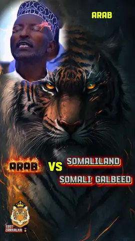 hadad naga awood wayn tihiin dhulkayaga kalaya naga qaada dawladbanan garanayn anagu macala🤨🔥💪#ARAB-STATE #zarkaljamal #