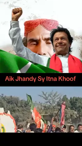 #duet with @️Voice Of Nation 