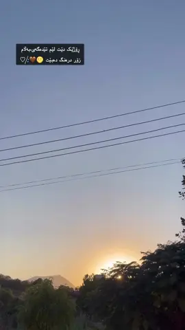 🌝🤎 #zaxo_duhok_hewler_slemani_hawler #soran #fipシ #nergzbarzani3 #tiktok 
