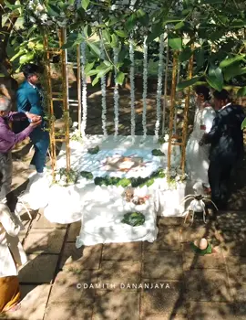 Wedding Moment 🥰☘️ මංගල දිනයේ ලස්සනම පාර්ට් එක ඩ්‍රෝන් එකෙන් 🥰☘️ #wedding #drone #srilanka #fyp #weddingtiktok 