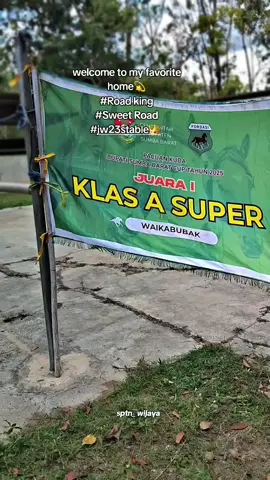 petarung sejati dari pulau timor🔥🫡 #jw23stable👑  #pecintakudapulautimur  #fypシ゚ #nttpride🏝🔥 