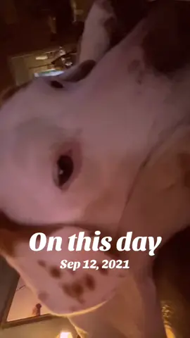 #onthisday 