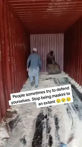 #ghanatiktok #kenyansinsaudia #ugandansindubai #sometimes defend yourselves 