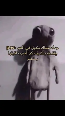 #ميمز #اصولللللللللل #fyp 