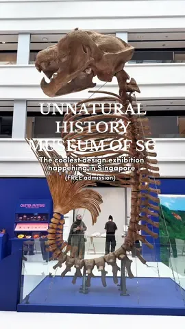 Are Singaporeans creative enough to survive in this tiny red dot? This exhibit features some of the creative and innovative works in Singapore.  💙Unnatural History Museum of Singapore 📍 National Design Centre 111 Middle Road Atrium, Level 1 Singapore 188969  🗓️11 Sep - 26 Oct 2025 ⏱️9.00am – 9.00pm 🤑 Free admission  #tiktoksg 