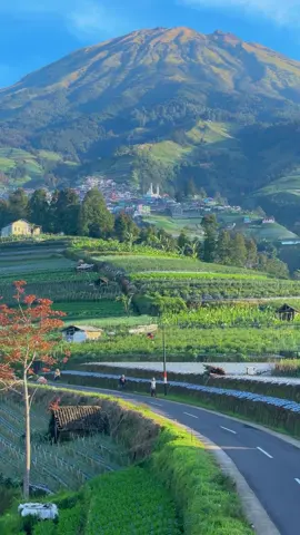 Indahnya gunung sumbing di jalan Nepal van Java dan Sukomakmur  #wisata #sukomakmur #sukomakmurmagelang #nepalvanjava #view #alam #traveling #like #magelang #ftv 