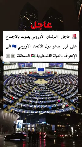 البرلمان الأوروبي يصوت بالاجماع على قرار يدعو الى الإعتراف بالدولة الفلسطينية 🇵🇸  #IATF2025 #AfCFTAMarketplace #tunisia🇹🇳_algeria🇩🇿_maroc🇲🇦 #تبون_رئيس_الجمهورية #IATF2027 