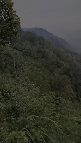 #CapCut 