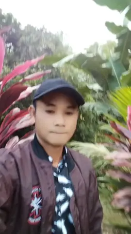 selamat sore teman-teman numpang lewat