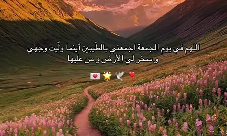 #قطر #quran #explore #fyp 