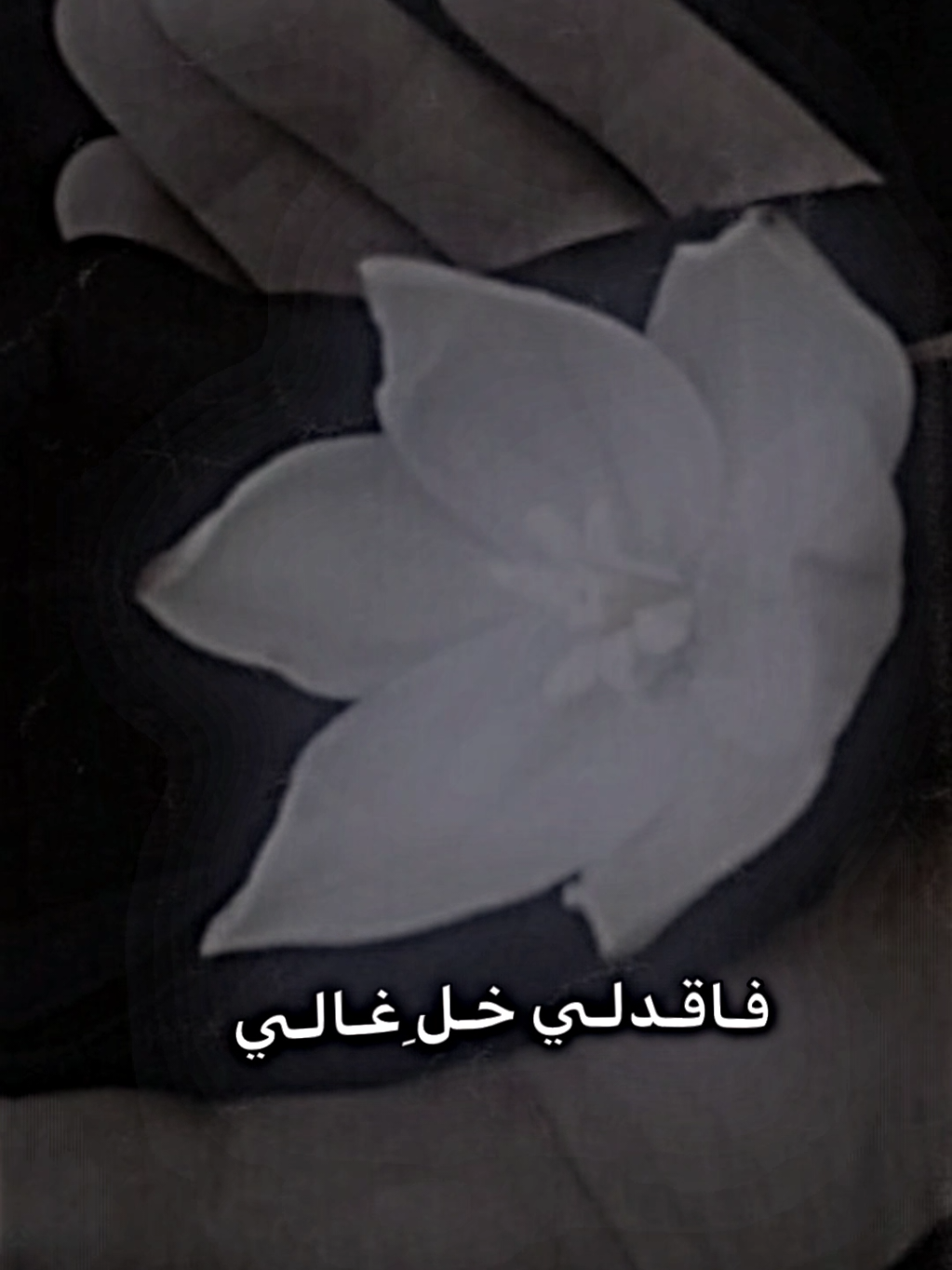 فاقدلي خل غالي🫶🏻🤍 تصميم لايت مشمش🥲