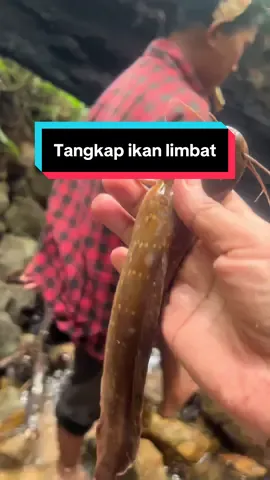 Aktiviti yang tak pernah membosankan❤️
