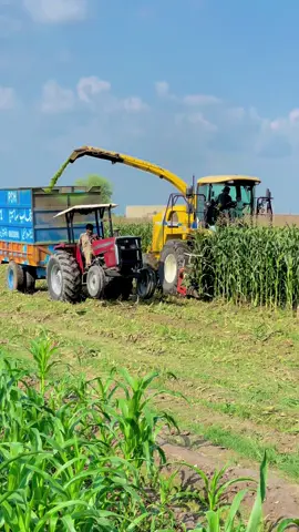 sponsored 💫#foryou #viral #viral_video #dairyfarm #unfrezzmyaccount 