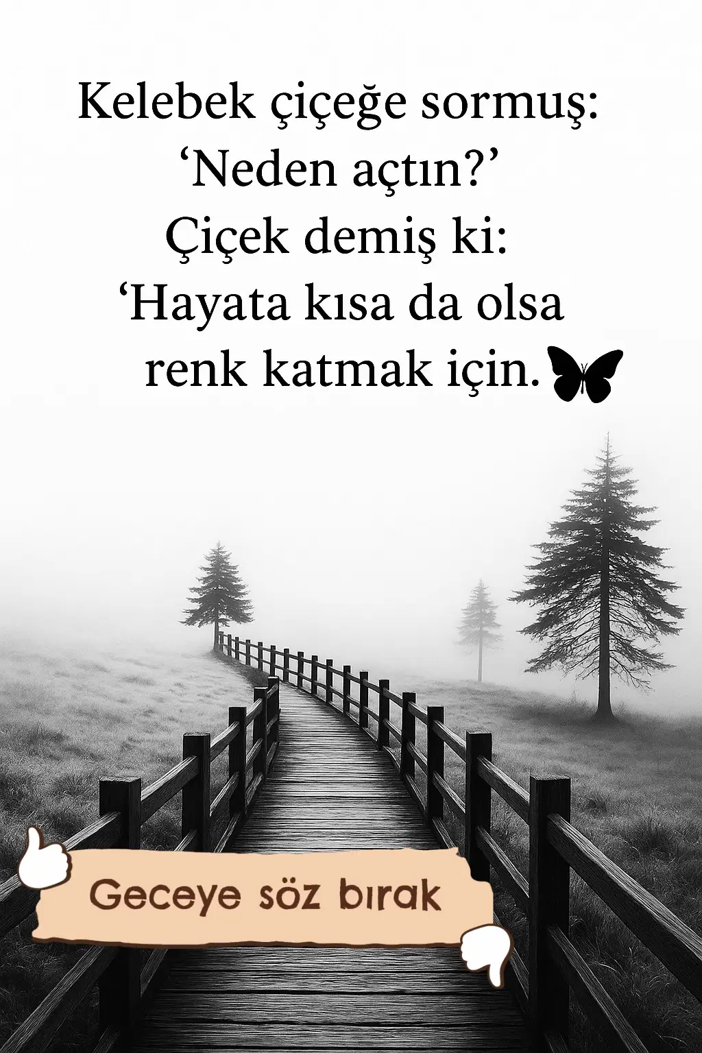 #özlüsözler #hayatdersi #anlamlısözler #çiçek #kelebek 