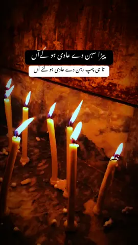 پیڑا سہن دے عادی ہو گےآں تا ہی چپ رہن دے عادی ہو گئے آں #fyppppppppppppppppppppppp #statusvideo💔👍 #viralvideotiktok #jindri #❤️‍🔥❤️‍🔥❤️‍🔥❤️‍🔥 