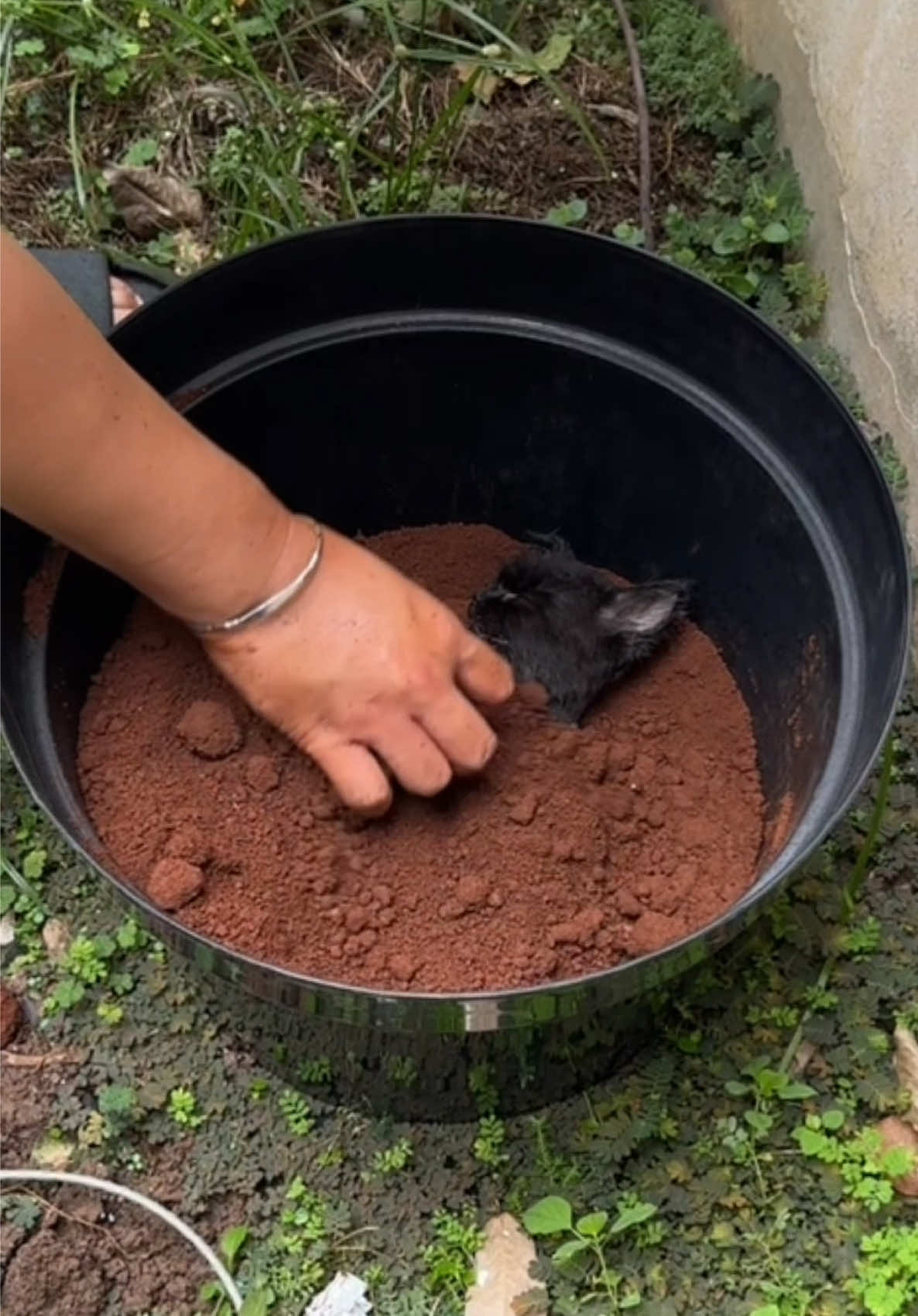 Terimakasih sudah menunggu aku di detik-detik terakhirmu,Terimakasih Mba momo sudah berjuang bersama melawan virus itu😭 Semoga kita bertemu di kehidupan selanjutnya ❤️‍🩹 we love u💞